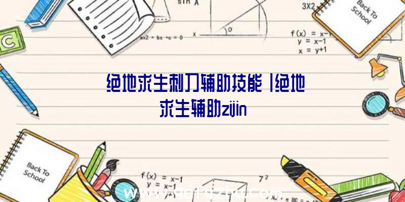 「绝地求生刺刀辅助技能」|绝地求生辅助zijin